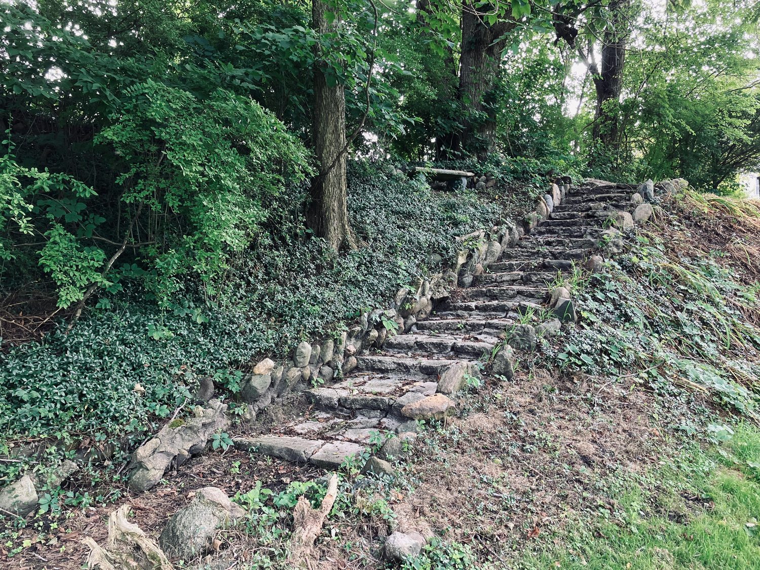 Original deteriorated stone steps on the wooded hillside at Wolcott Park before restoration